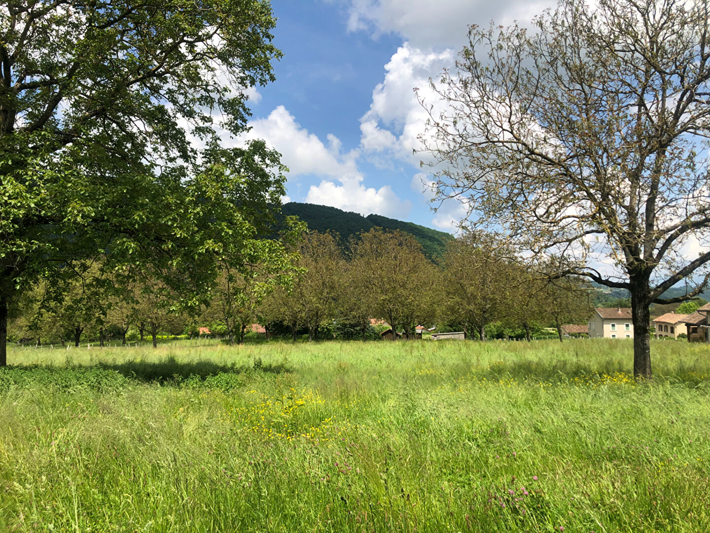 TERRAIN CONSTRUCTIBLE 756M² 38620 MASSIEU