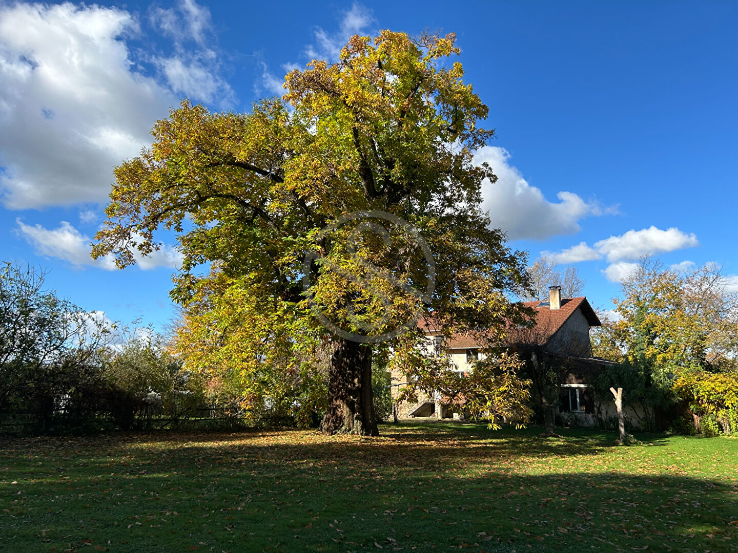 Idéal habitat partagé propriété 6 chambres sur  28 057 m2 de terrain !